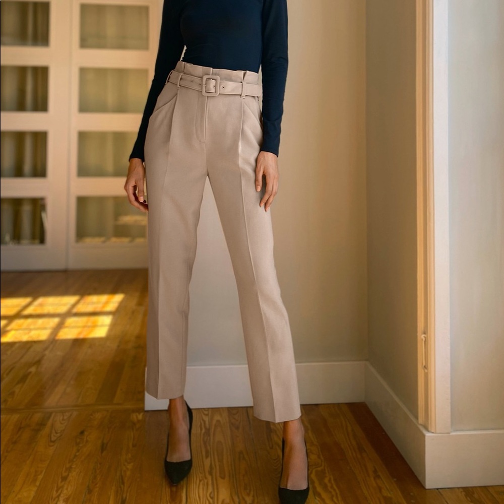 Aritzia Babaton Encore Pant | NWT